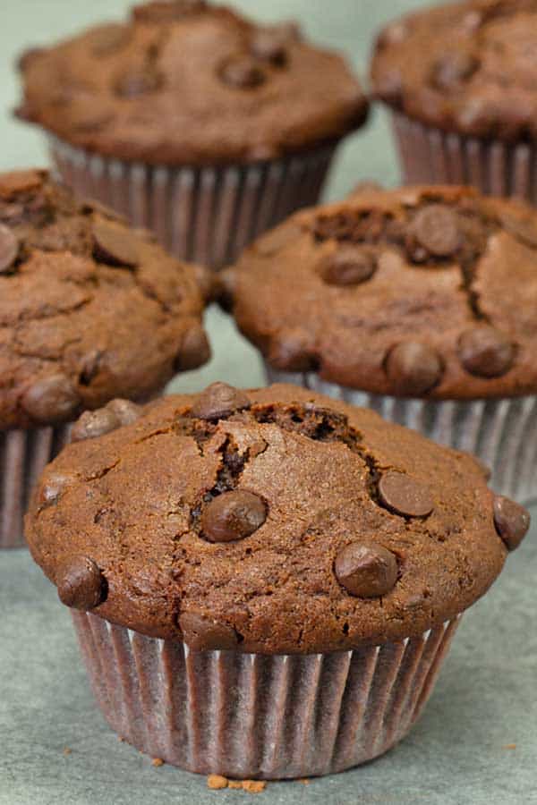 Double Chocolate Muffins