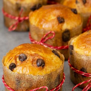 Mini chocolate panettone