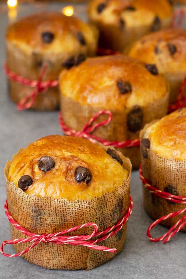 Mini chocolate panettone