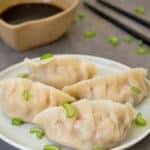 Chicken and Shrimp Boiled Dumplings