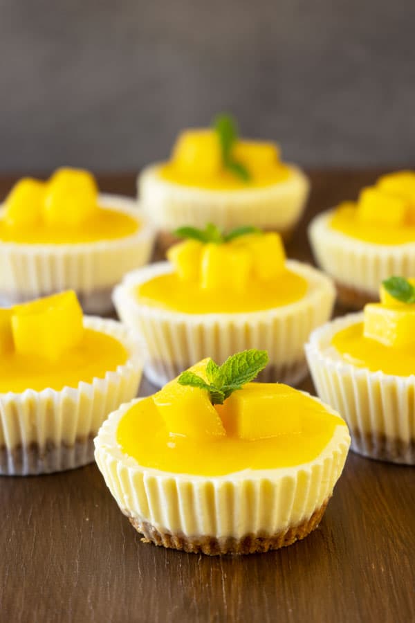 Mini Mango Lassi Cheesecakes on a table