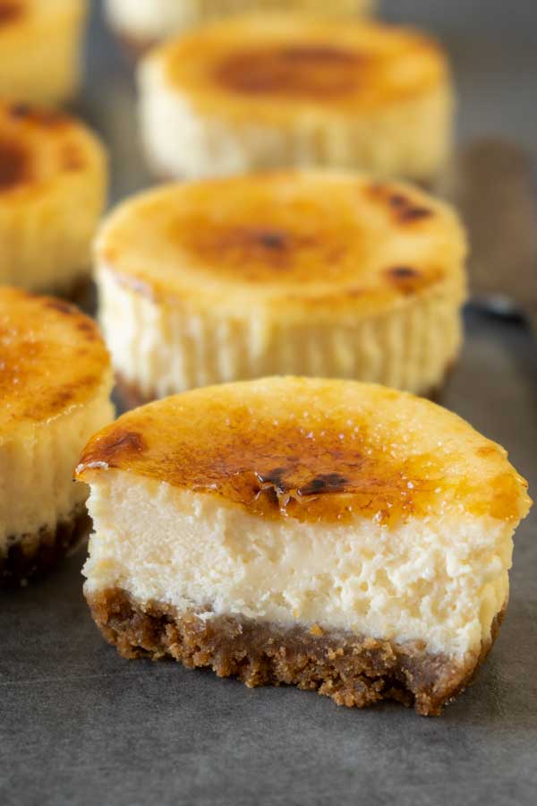 creme brulee mini cheesecake