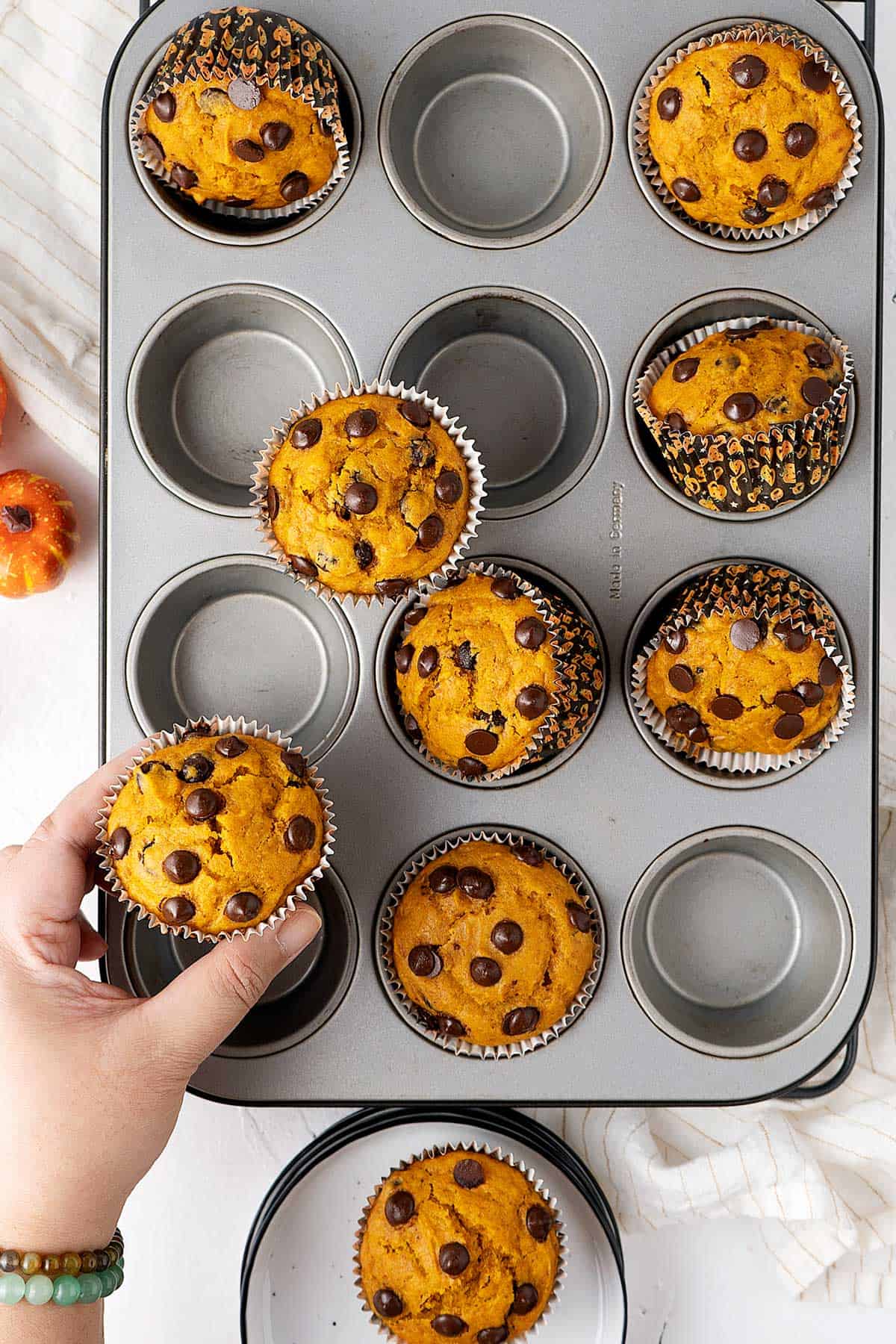 grabbing a pumpkin chocolate chip muffin.
