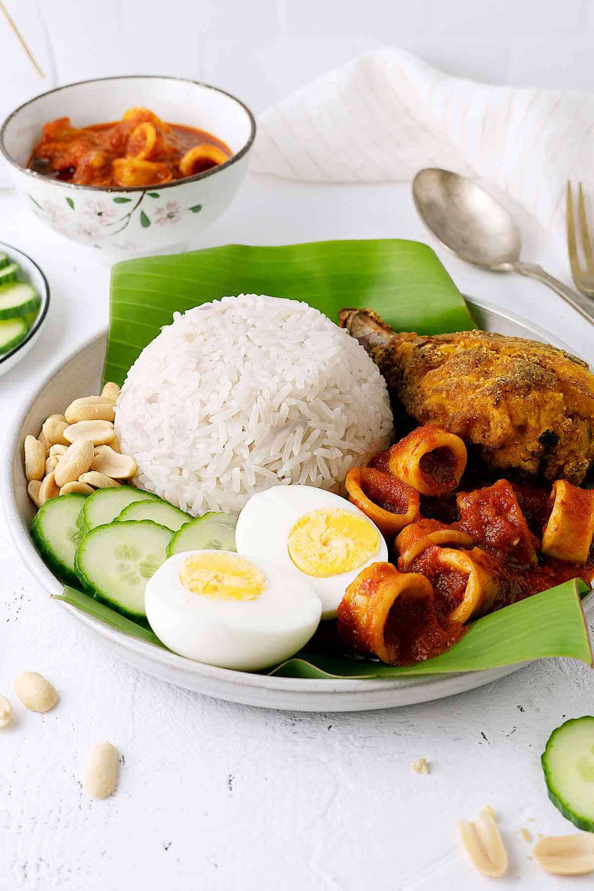 Nasi lemak in a plate with all its trimmings view from front