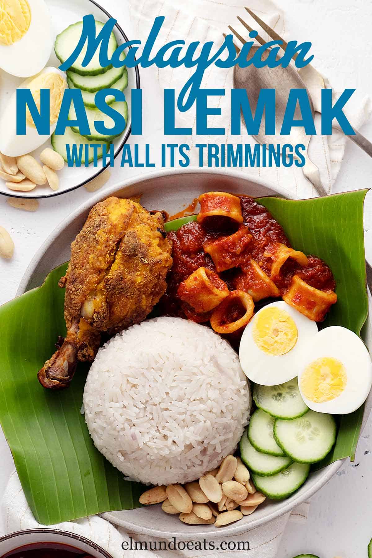 Rice With Coconut Milk (Malaysian Nasi Lemak) El Mundo Eats
