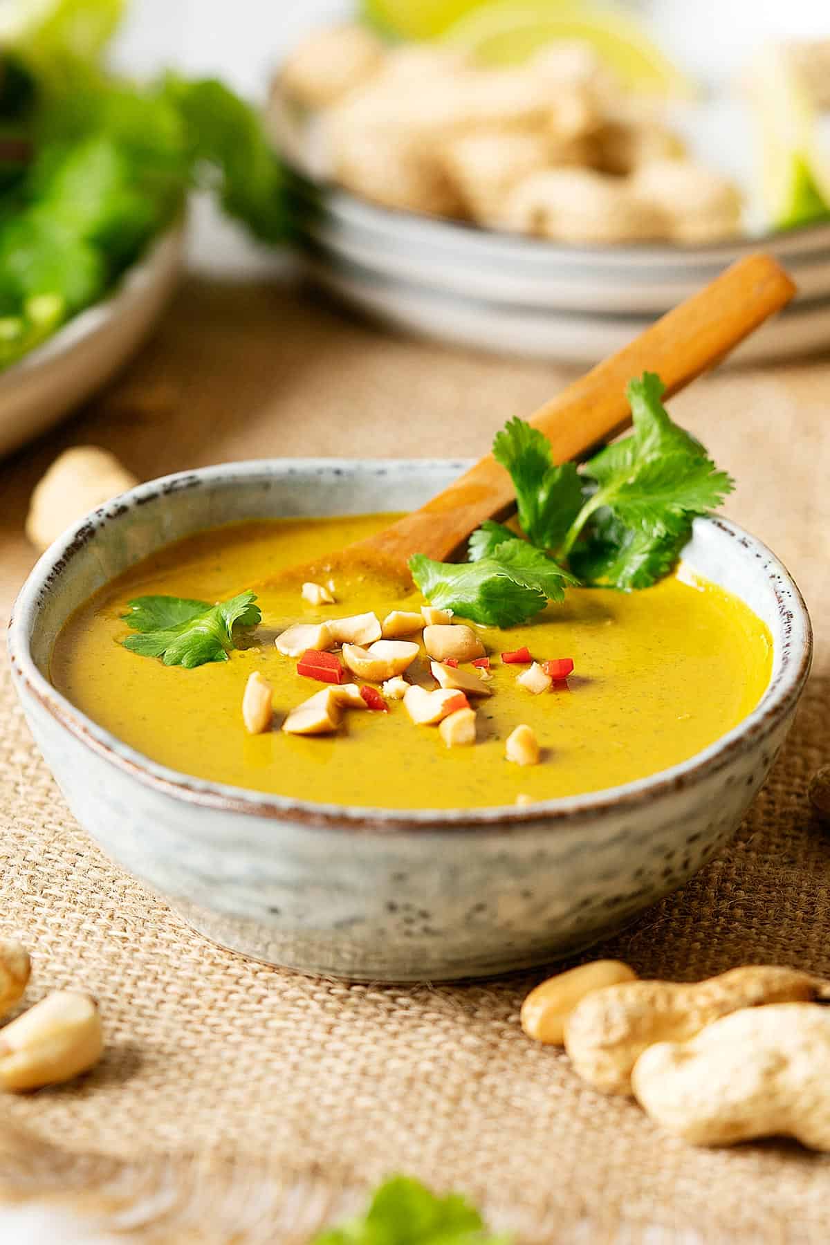 Peanut satay sauce in a bowl view from front