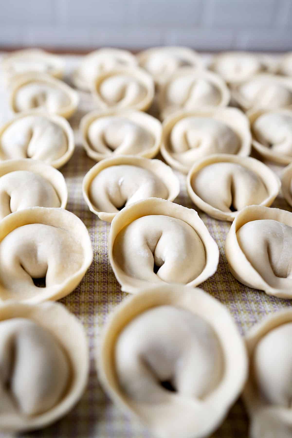 Uncooked wontons