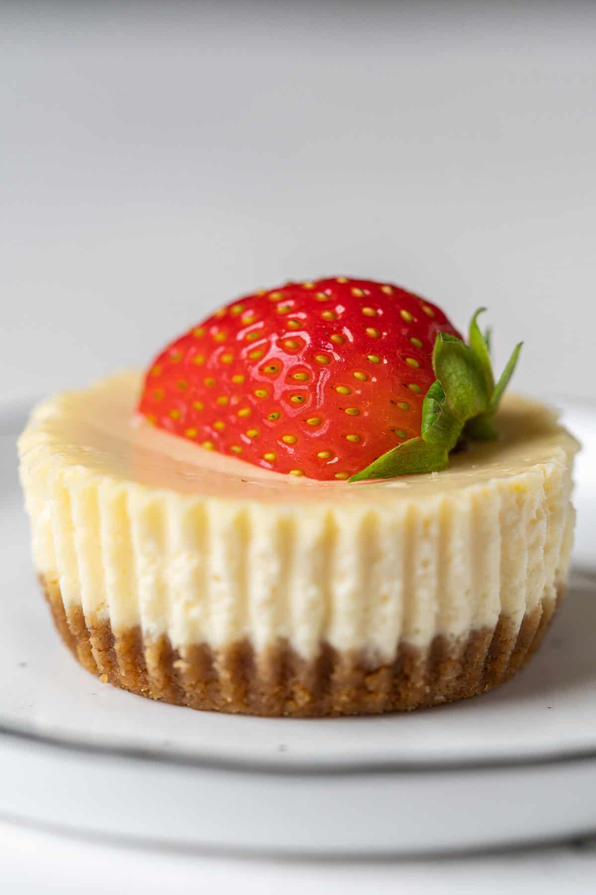 Close up one mini cheesecake