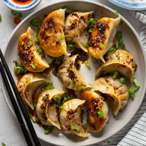 Crispy Bottom Chicken & Shrimp Potstickers El Mundo Eats