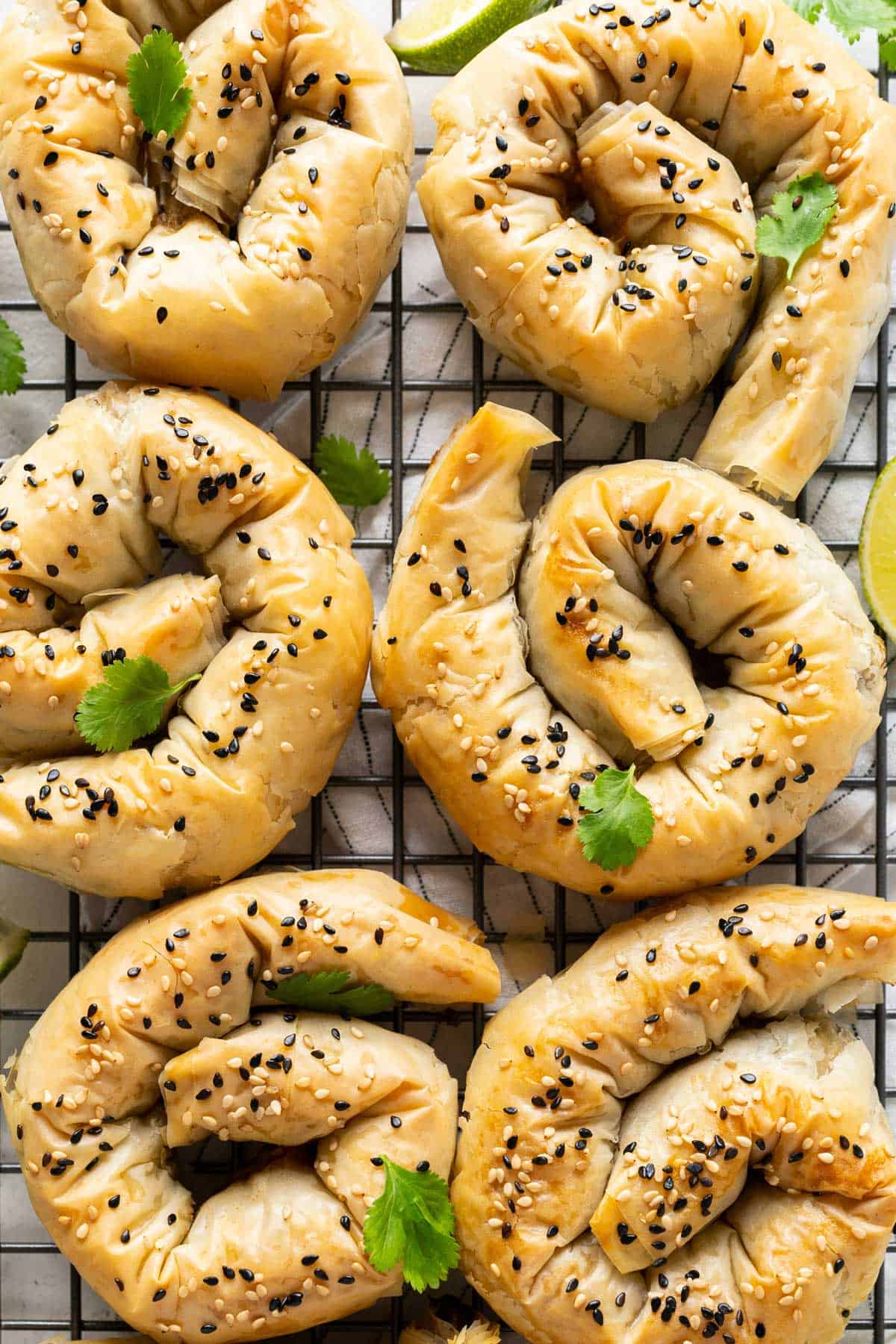 Baked potato phyllo samosa coils on a rack view from top.