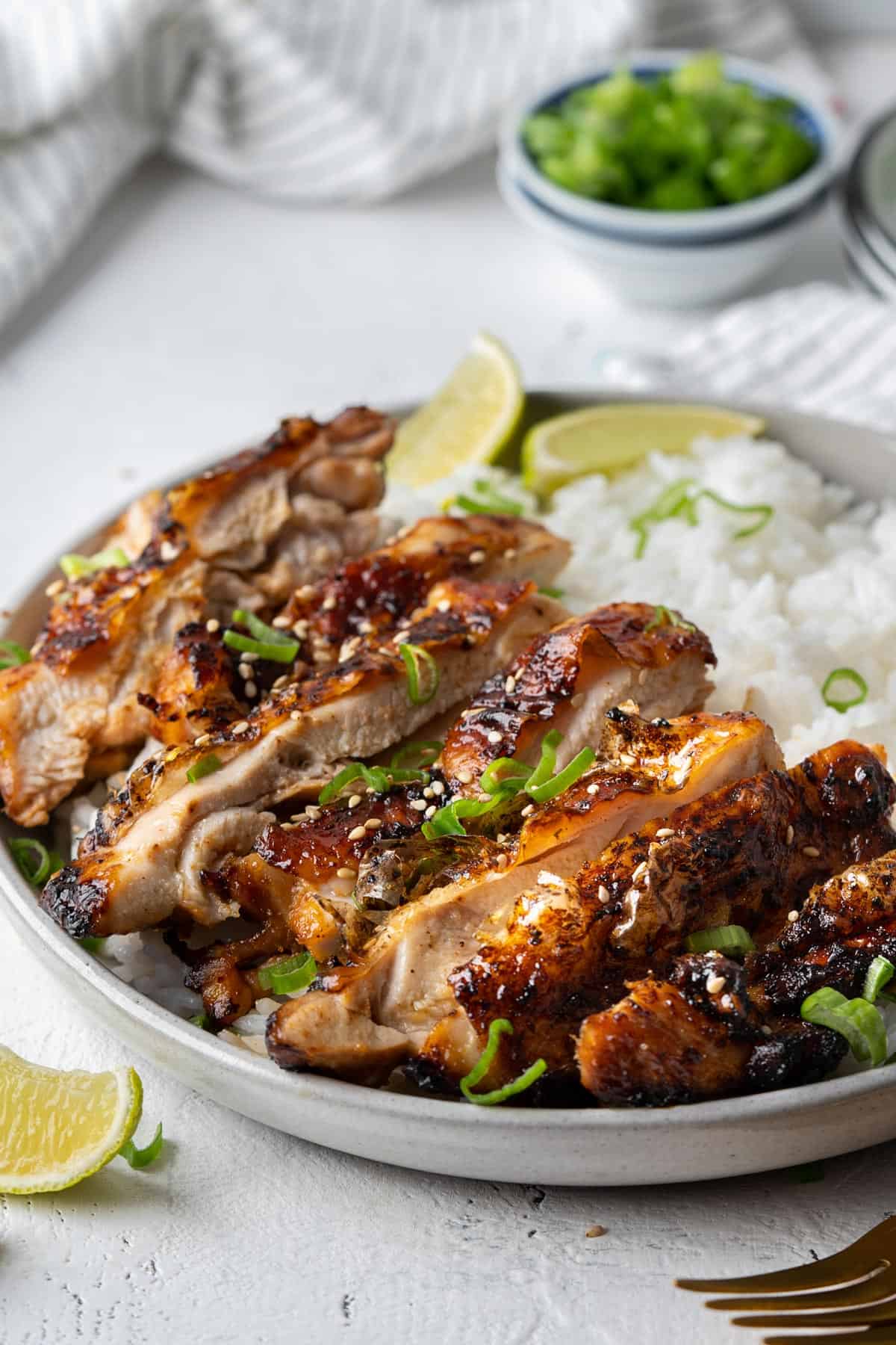Sliced air-fryer soy sauce chicken with some rice in a plate view from front.