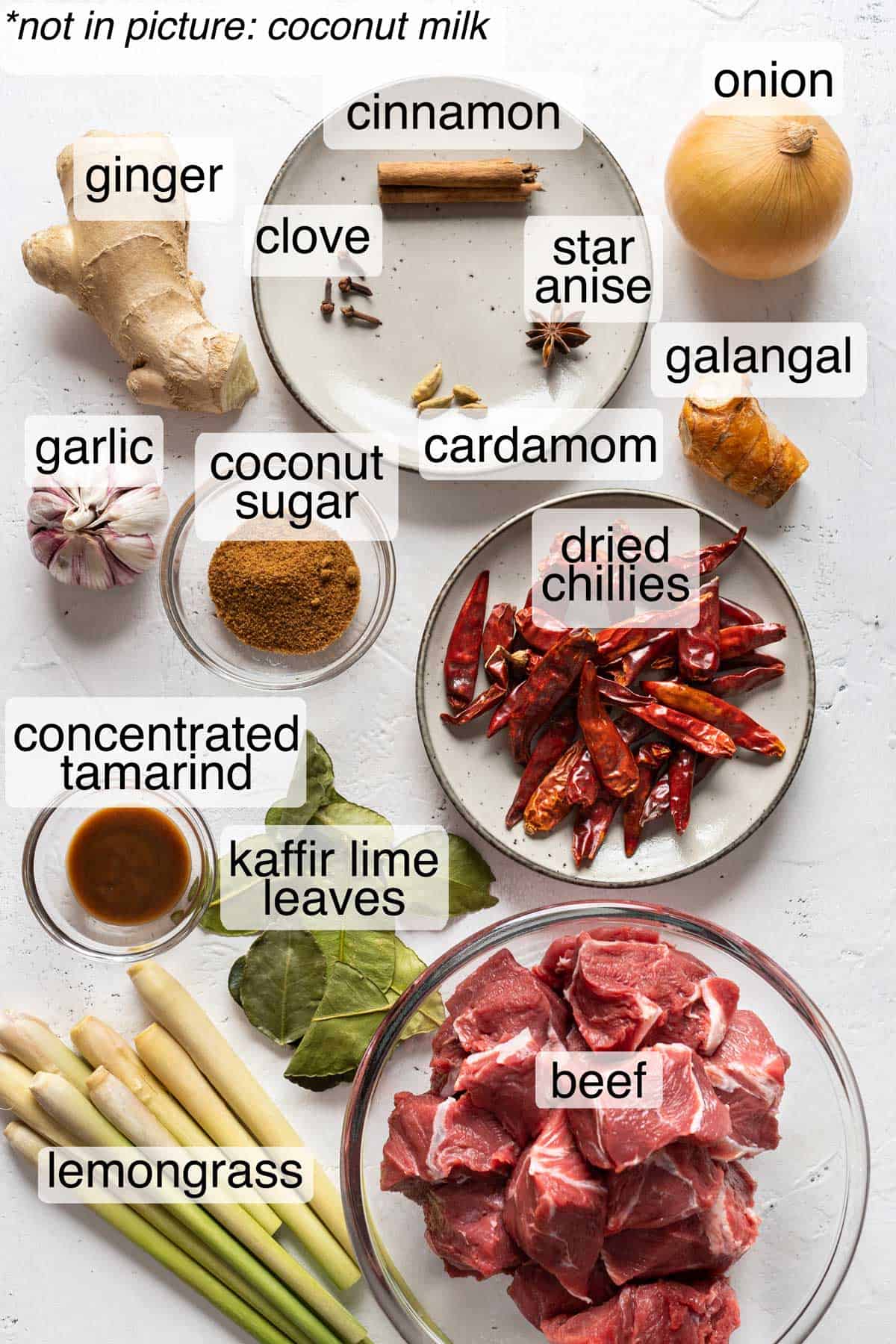 Ingredients to make beef rendang.