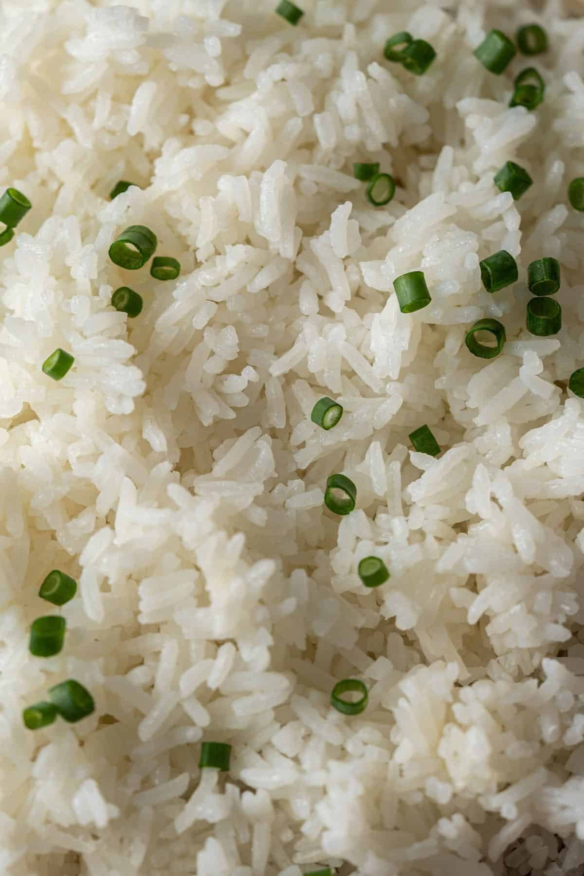Close-up of cooked jasmine rice.