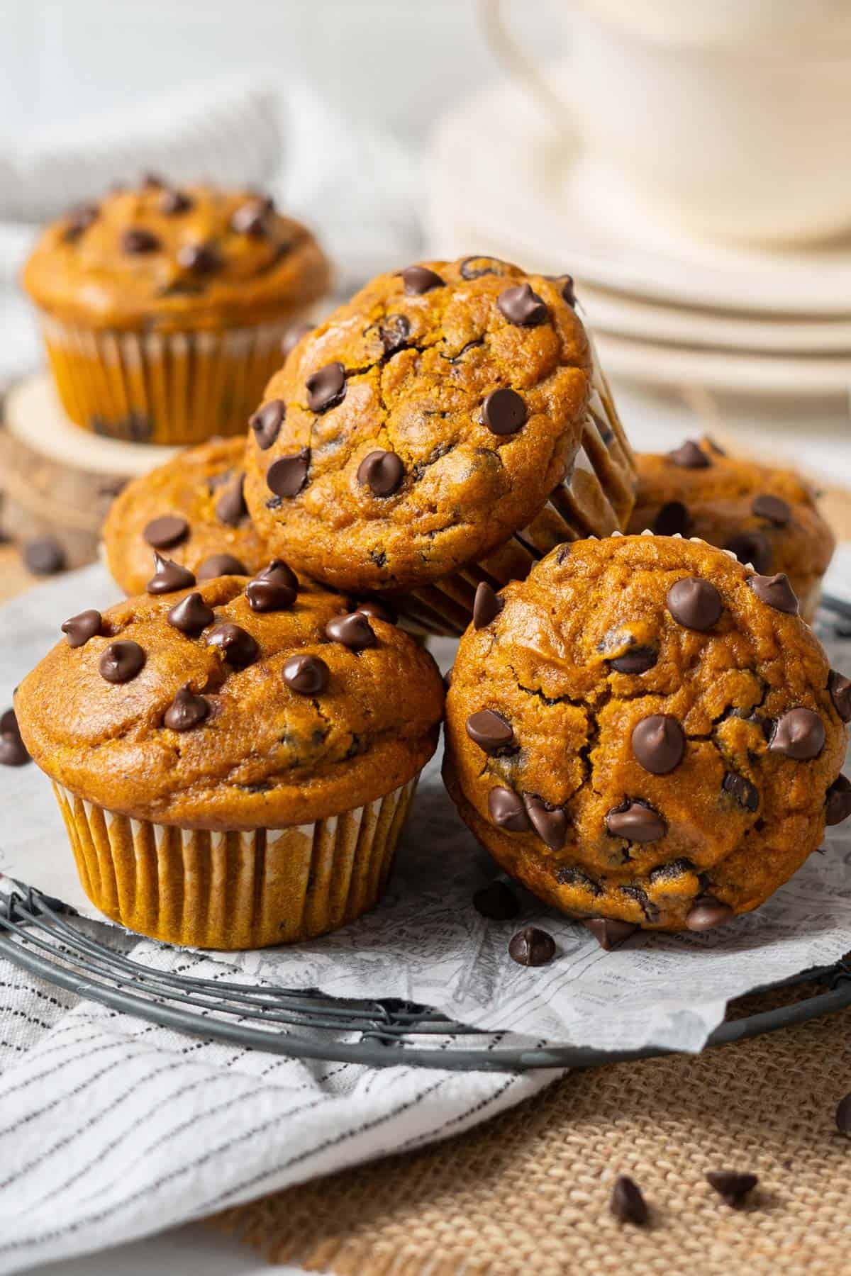 Pumpkin chocolate chip muffins on a rack view from front.