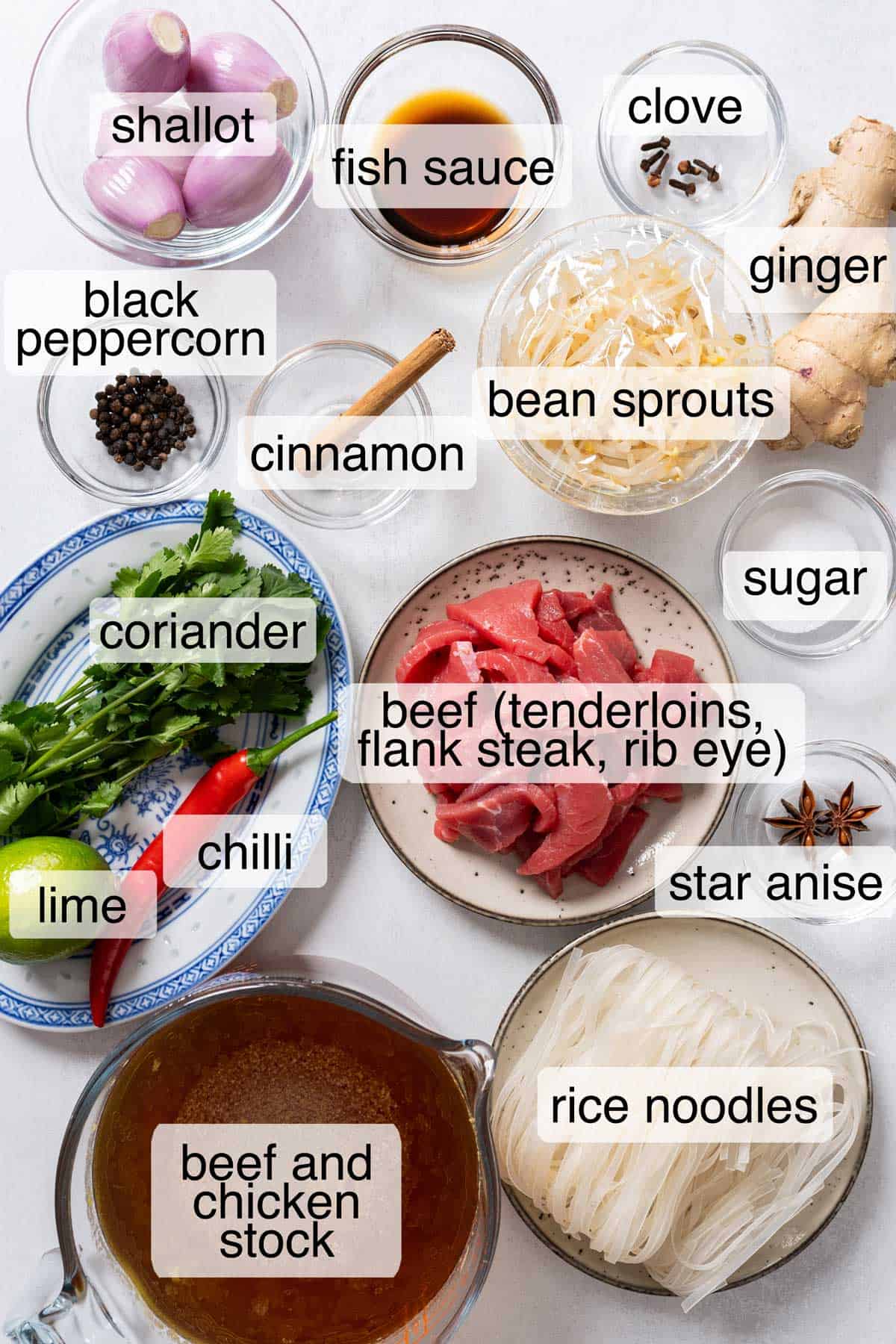 Ingredients to make quick pho.