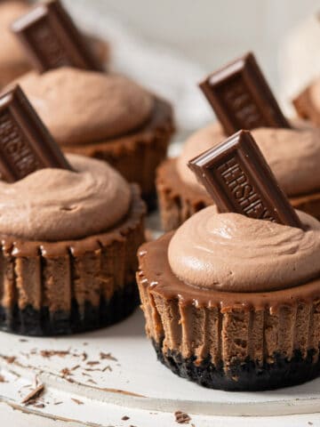 Mini chocolate cheesecakes.