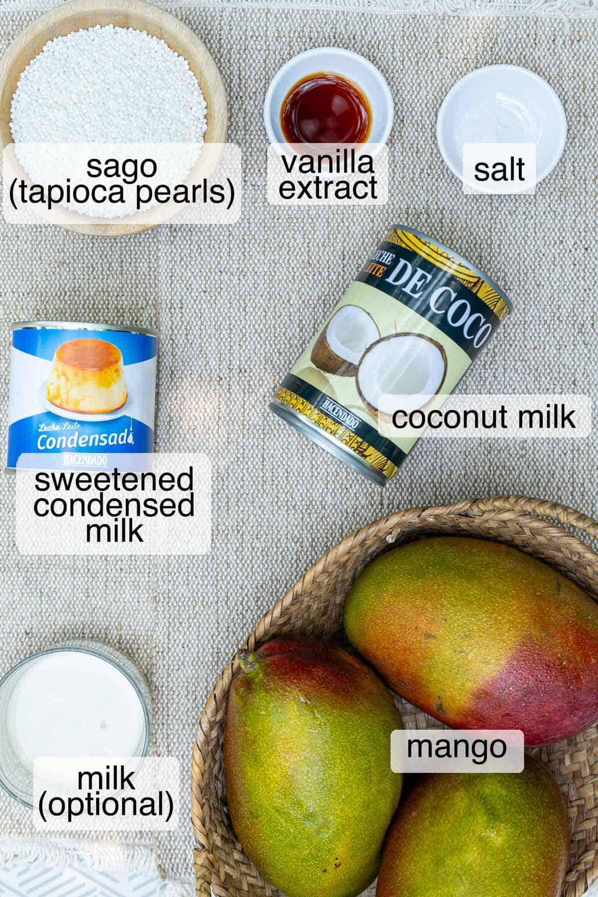 Ingredients to make mango coconut sago.