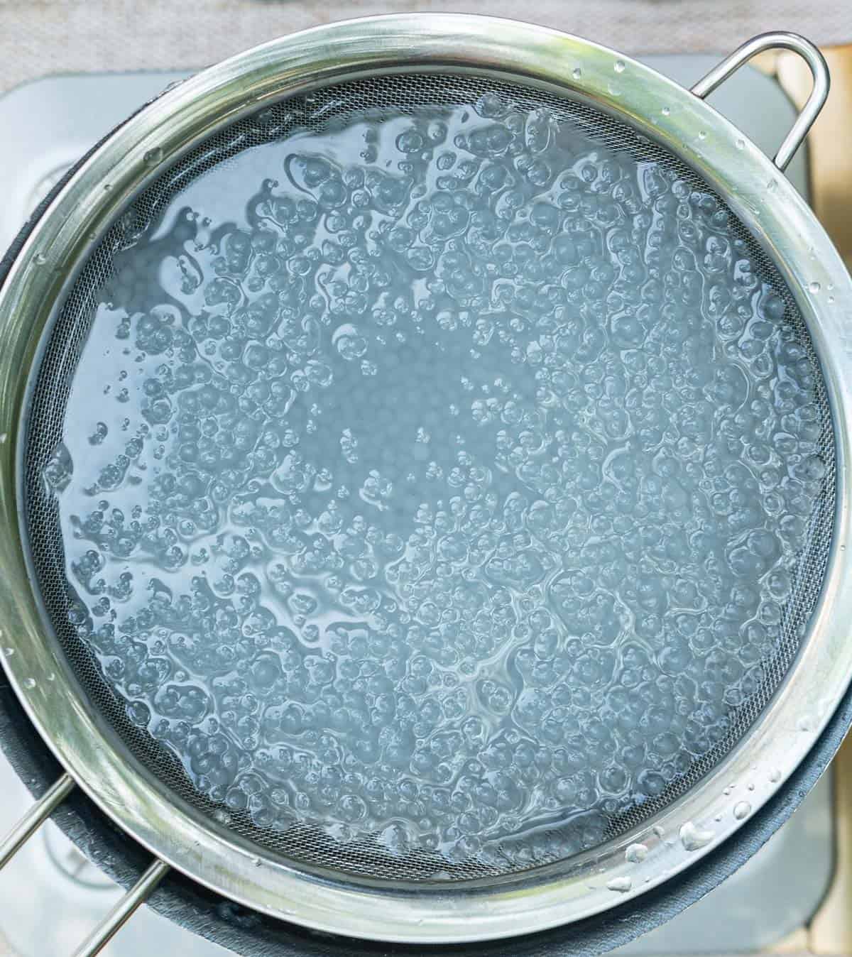 Submerged sago.