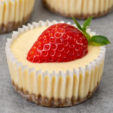 One mini cheesecake on a table.
