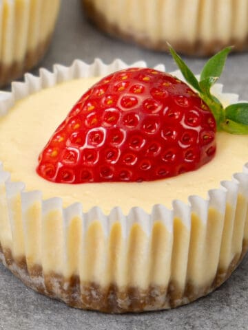 One mini cheesecake on a table.