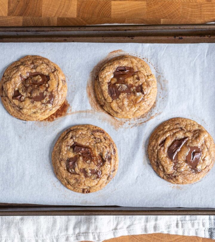 Recently baked chewy chocolate chunk cookies.
