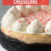 Peppermint cheesecake.
