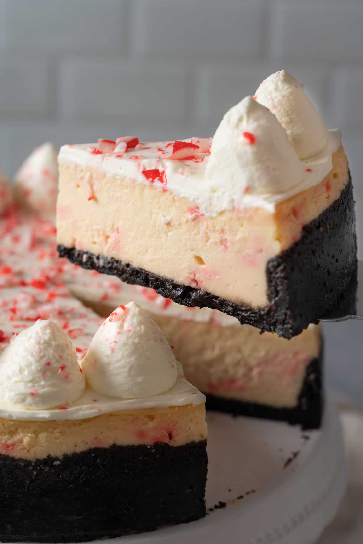 Taking a slice of candy cane cheesecake.