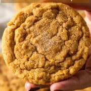 Chewy pumpkin cookies for Pinterest